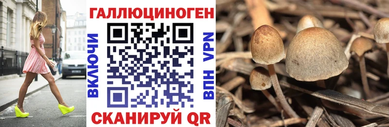 Псилоцибиновые грибы Cubensis  Волоколамск 